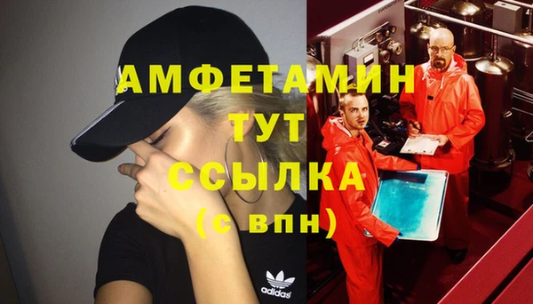 винт Алзамай