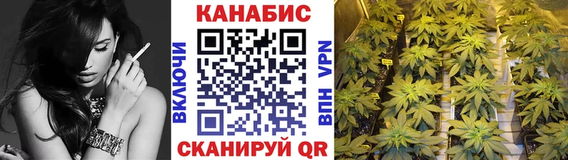 Бошки марихуана конопля  Белокуриха 